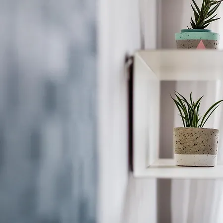 Quattro Loft 호스텔 *