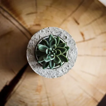 Quattro Loft Hostel Danzig