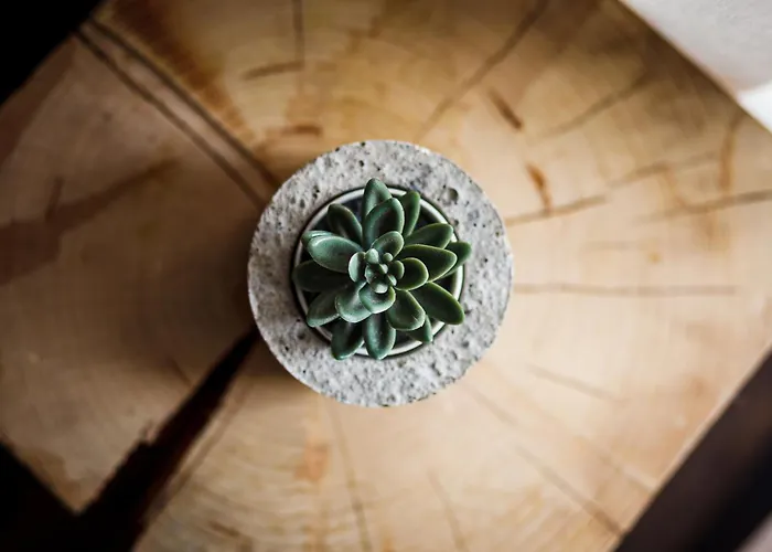 Quattro Loft 旅馆 格但斯克